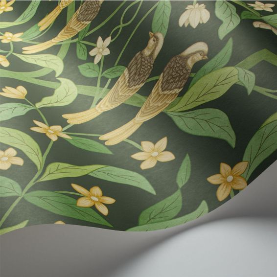 Jasmine & Serin Symphony Wallpaper 10029 by Cole & Son in Forest Green