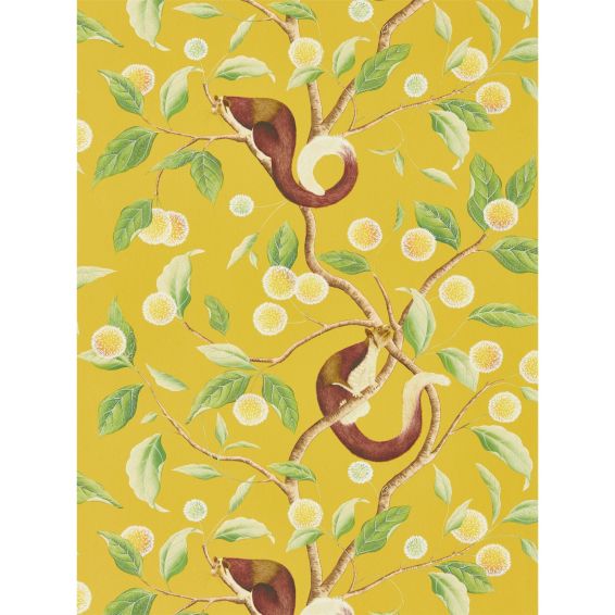 Nellie Wallpaper 112905 by Harlequin in Honey Meadow