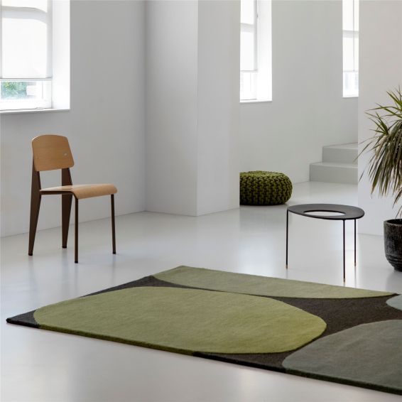 Decor Plateau 091907 Rugs by Brink and Campman in Moss