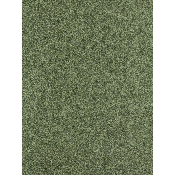 Shagreen Wallpaper 312905 by Zoffany in Olivine Green