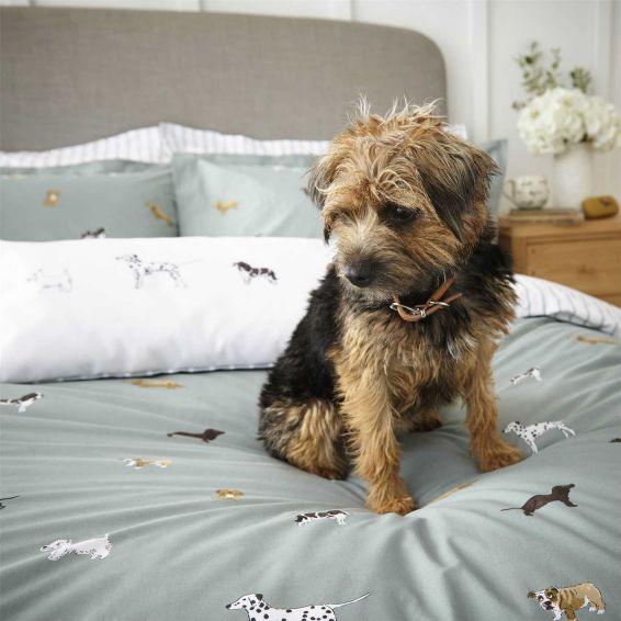 Fetch Dog Bedding and Pillowcase By Sophie Allport in Sage Green