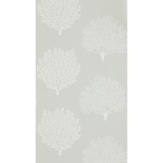 Coraline Wallpaper 216575 by Sanderson in Gull Grey