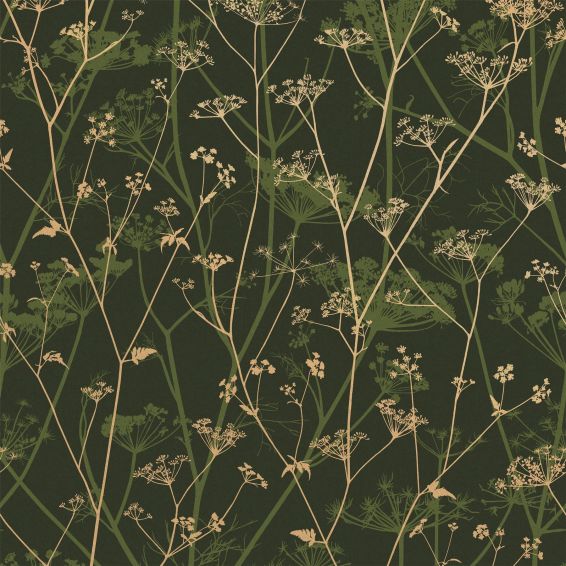 Wild Chervil Wallpaper 120385 by Clarissa Hulse in Sage Gold