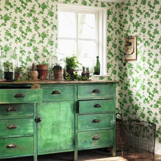 Hedera Wallpaper 214593 by Sanderson in Green