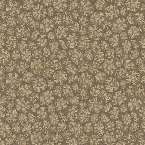 Savanna Shell Wallpaper 119 4020 by Cole & Son in Metallic Gilver Cedar Metallic Gold