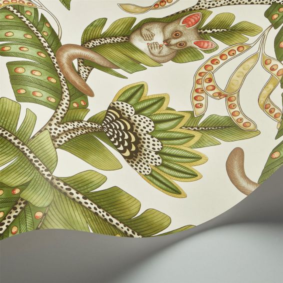 Bush Baby Wallpaper 119 7032 by Cole & Son in Spring Green