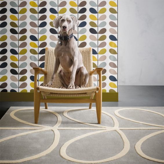 Giant Linear Stem Modern Wool Rugs 59404 in Grey by Orla Kiely