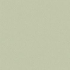 Plain Matt Wallpaper 120885 by Joules in Sage Green