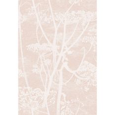 Cow Parsley Wallpaper 8028 by Cole & Son in Ballet Slipper Pink