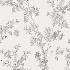 Forsythia Botanical Wallpaper 113349 by Laura Ashley in Steel Grey