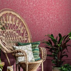 Gypsophila Wallpaper 120398 by Clarissa Hulse in Raspberry Silver