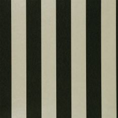 Nevis Wallpaper W0085 02 by Clarke and Clarke in Ebony Black