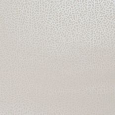 Isla Wallpaper W0093 04 by Clarke and Clarke in Ivory Pearl