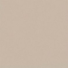 Plain Matt Wallpaper 120887 by Joules in Beige