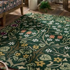 Blackthorn Indoor Outdoor Rugs 428507 by Morris & Co in Thump