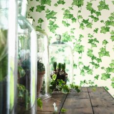 Hedera Wallpaper 214593 by Sanderson in Green