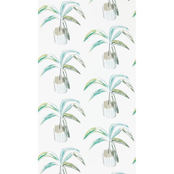 Crassula Wallpaper 111993 by Scion in Juniper Lime Green