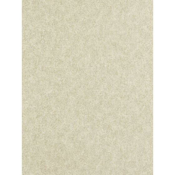 Shagreen Wallpaper 312908 by Zoffany in Platinum Grey