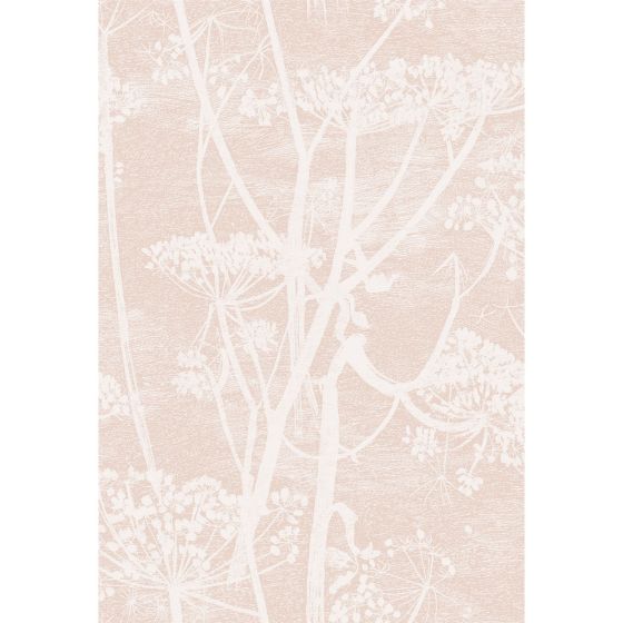 Cow Parsley Wallpaper 8028 by Cole & Son in Ballet Slipper Pink