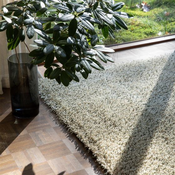 Ray Shaggy Rugs 158607 by Brink and Campman in Halm