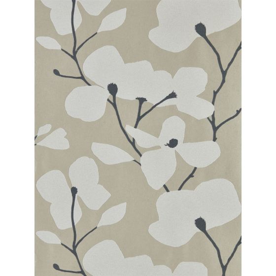 Kienze Shimmer Wallpaper 111974 by Harlequin in Gilver Chalk