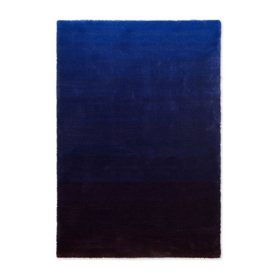 Shade Low Rugs 010118 by Brink and Campman in Electric Blue Aubergine