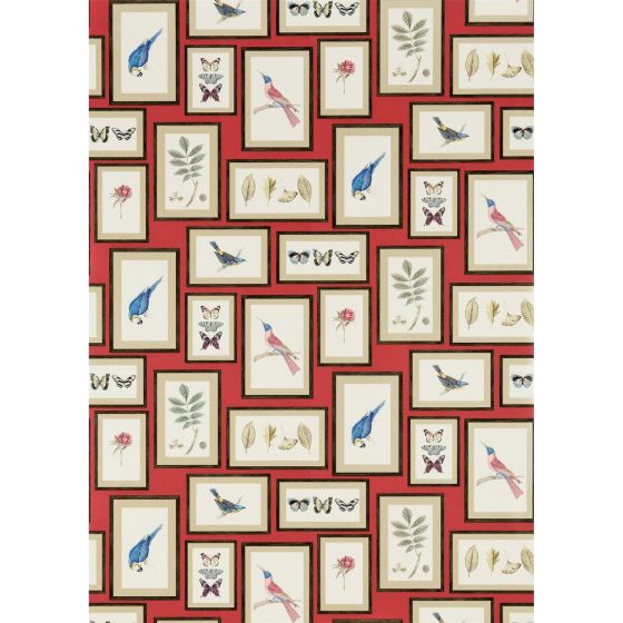 Picture Gallery Wallpaper 213498 by Sanderson in Red Multi