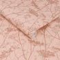 Wild Chervil Wallpaper 120372 by Clarissa Hulse in Shell Rose Gold