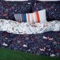 Kooky Woodlands Bedding by Joules in Navy Blue