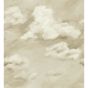 Air Abstract Wallpaper Panel 113003 by Harlequin in Golden Light