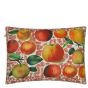 Apples Cushion in Carmine Red by John Derian