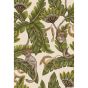 Bush Baby Wallpaper 119 7032 by Cole & Son in Spring Green