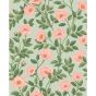 Hampton Roses Wallpaper 7014 by Cole & Son in Rose Pink