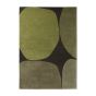 Decor Plateau 091907 Rugs by Brink and Campman in Moss