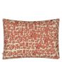 Apples Cushion in Carmine Red by John Derian