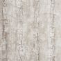 Tree Bark Wallpaper W0062 02 by Clarke and Clarke in Birch