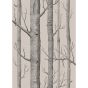 Woods Wallpaper 3009 by Cole & Son in Linen Charcoal