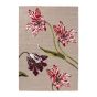 Botanical Tulip Indoor Outdoor Rug 455610 by Ted Baker in Burgundy