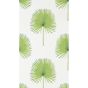 Fan Palm Wallpaper 216636 by Sanderson in Botanical Green