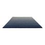 Shade Low Rugs 010104 by Brink and Campman in Silver Polar Night