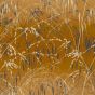 Meadow Grass Wallpaper 120405 by Clarissa Hulse in Yellow Ochre Soft Gold