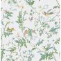 Humming Birds Wallpaper 4015 by Cole & Son in Green Pink