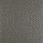 Playa Wallpaper W0058 03 by Clarke and Clarke in Granite Grey