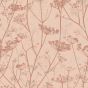 Wild Chervil Wallpaper 120372 by Clarissa Hulse in Shell Rose Gold